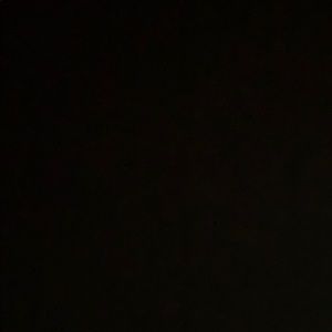 Meet your Posher, Ally